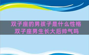 双子座的男孩子是什么性格 双子座男生长大后帅气吗